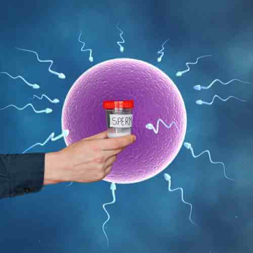 The Low Sperm Count Crisis and Men Are Losing Fertility Faster The Low Sperm Count Crisis